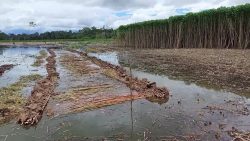 videos:-acre-rural-deste-domingo,-4-de-junho