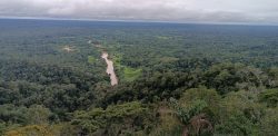 justica-suspende-construcao-de-estrada-entre-cruzeiro-do-sul-e-pucallpa-que-passaria-dentro-da-serra-do-divisor