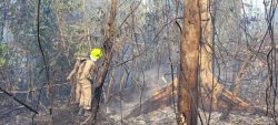 no-ac,-focos-de-incendio-em-julho-ja-se-aproximam-do-total-do-primeiro-semestre