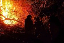 forca-nacional-vai-atuar-em-acoes-de-combate-aos-incendios-florestais-no-acre,-autoriza-governo-federal