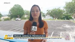 videos:-bom-dia-acre-desta-segunda-feira,-9-de-outubro