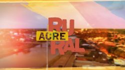 videos:-acre-rural-deste-domingo,-5-de-novembro