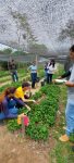 com-30-especies,-laboratorio-da-ufac-estuda-plantas-nao-convencionais-com-potencial-alimentar