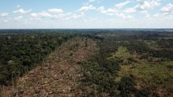 com-320-km²-de-area-destruida-em-10-meses,-acre-esta-entre-estados-com-areas-protegidas-mais-desmatadas