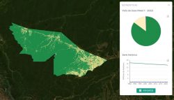 com-mais-de-14%-do-territorio-explorado-pela-pecuaria,-acre-esta-em-faixa-com-maior-desmatamento-pela-atividade-na-amazonia