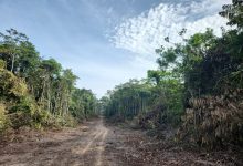 apos-mpf-ac-alegar-impacto-em-terra-indigena,-ramal-que-liga-duas-cidades-no-interior-do-ac-e-bloqueado-e-nao-pode-sofrer-intervencoes