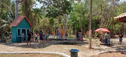 parque-chico-mendes-abre-para-visitacao-na-vespera-e-no-feriado-de-natal-em-rio-branco