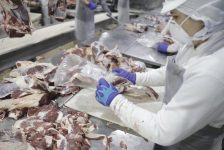 acre-recebe-autorizacao-para-exportar-carne-bovina-para-o-canada