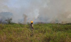 bombeiros-ja-atenderam-180-ocorrencias-de-queimadas-somente-no-mes-de-agosto-em-cruzeiro-do-sul